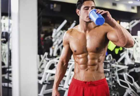 best choice of protein powder