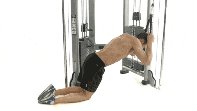 cable crunch abs workout