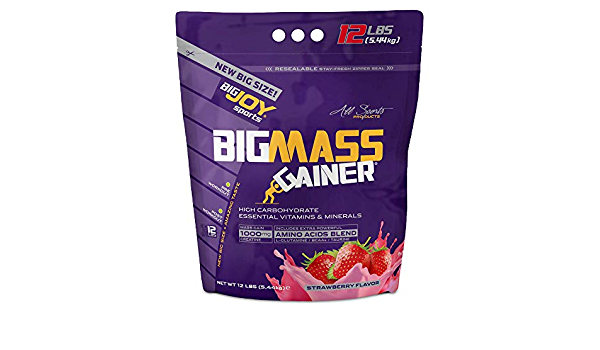 bigmass gainer 체중 증가 제품