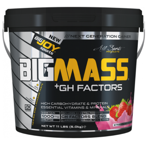 bigmass factor