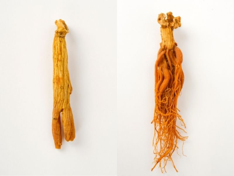 benefici del ginseng rosso