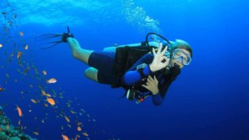 scuba diving tüplü dalış nedir