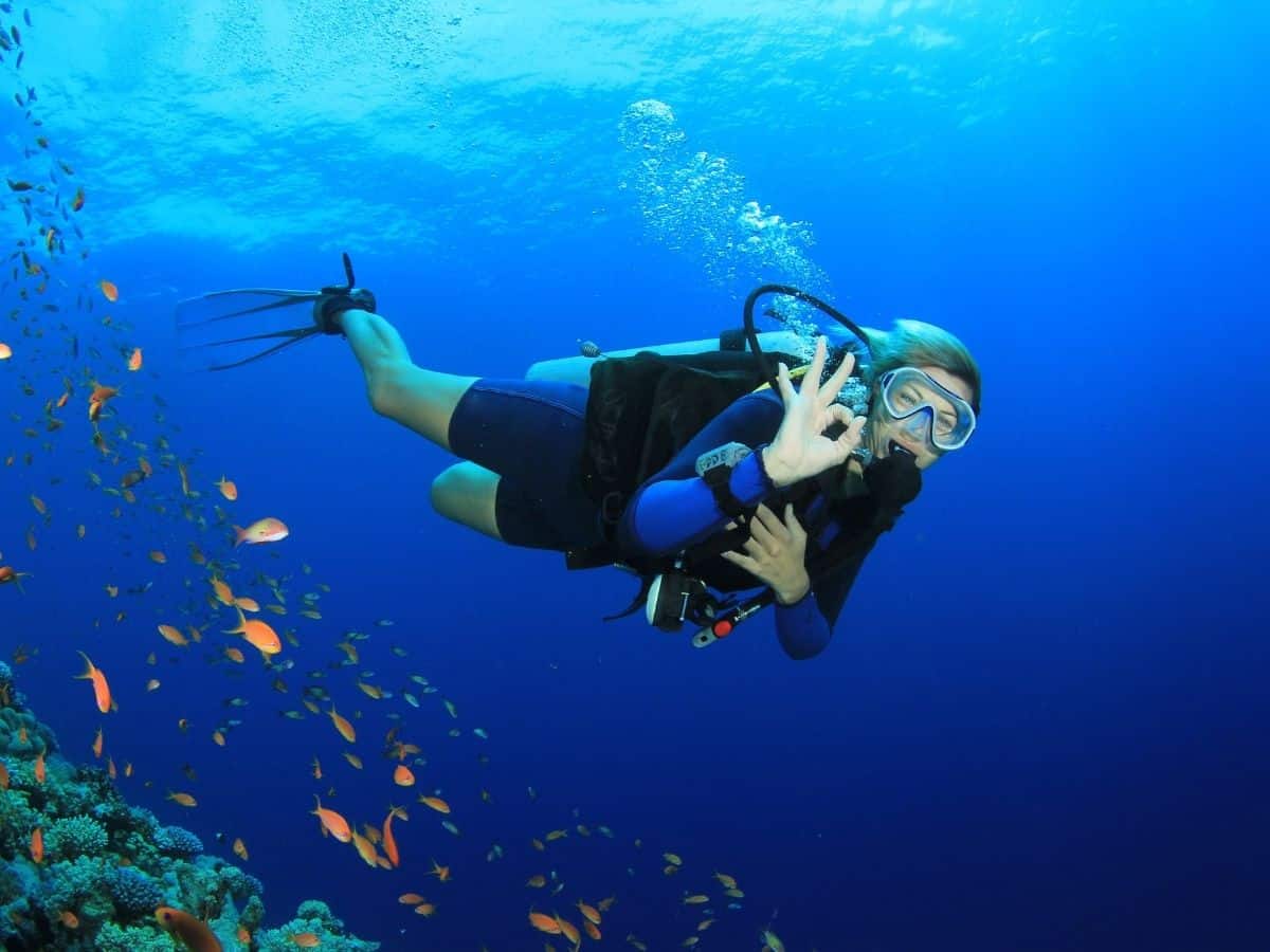 scuba diving tüplü dalış nedir
