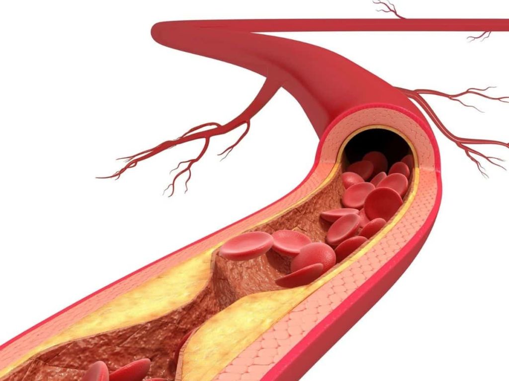 Nitric oxide supplements increase blood flow