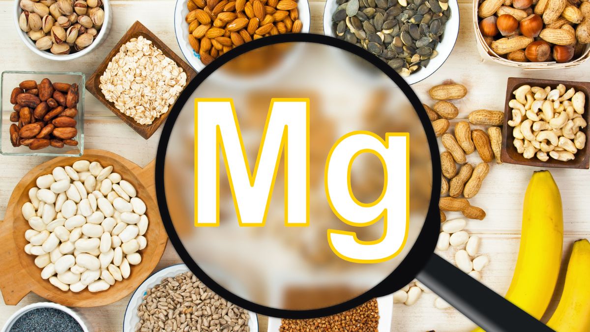 ¿Cuál debería ser el valor de magnesio?