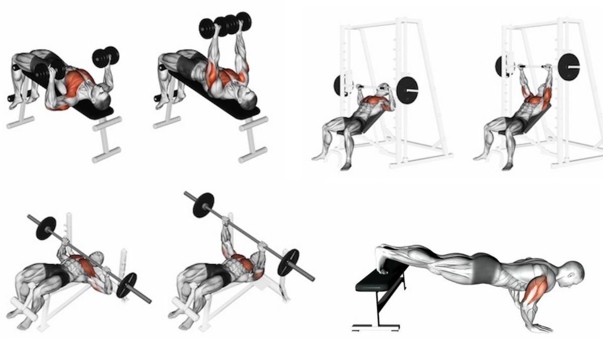 best chest press moves