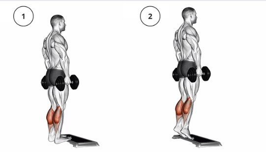 dumbbell dana qaldırmaq