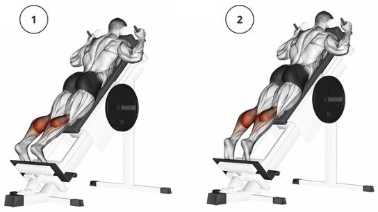 hack squat calf raise