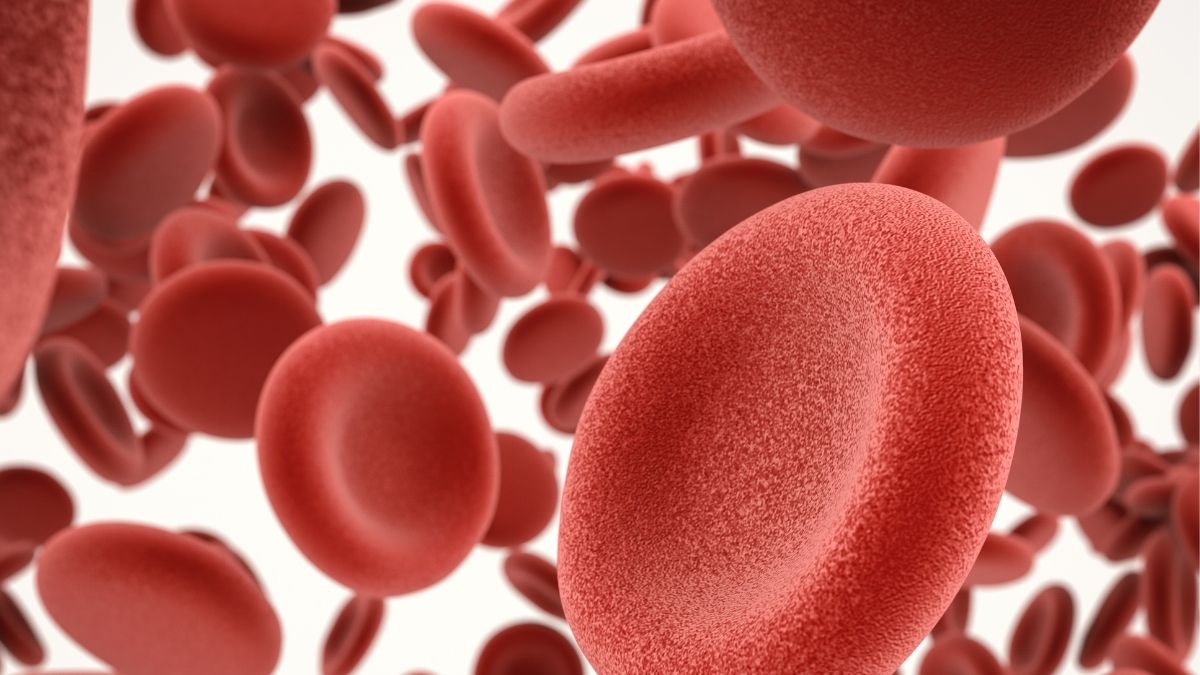 økning av blodplater i blodprøven