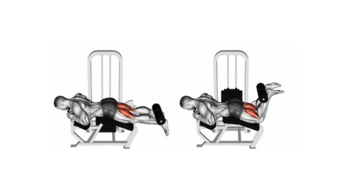 What is leg curl and how is it done?