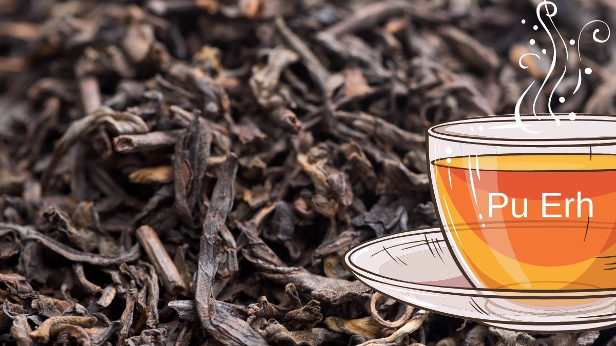 Hva er fordelene med pu erh te