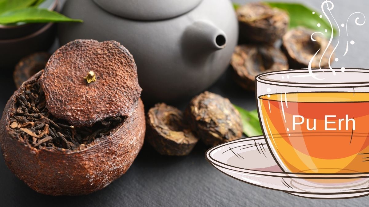 what is pu erh tea what is it good for what are its benefits