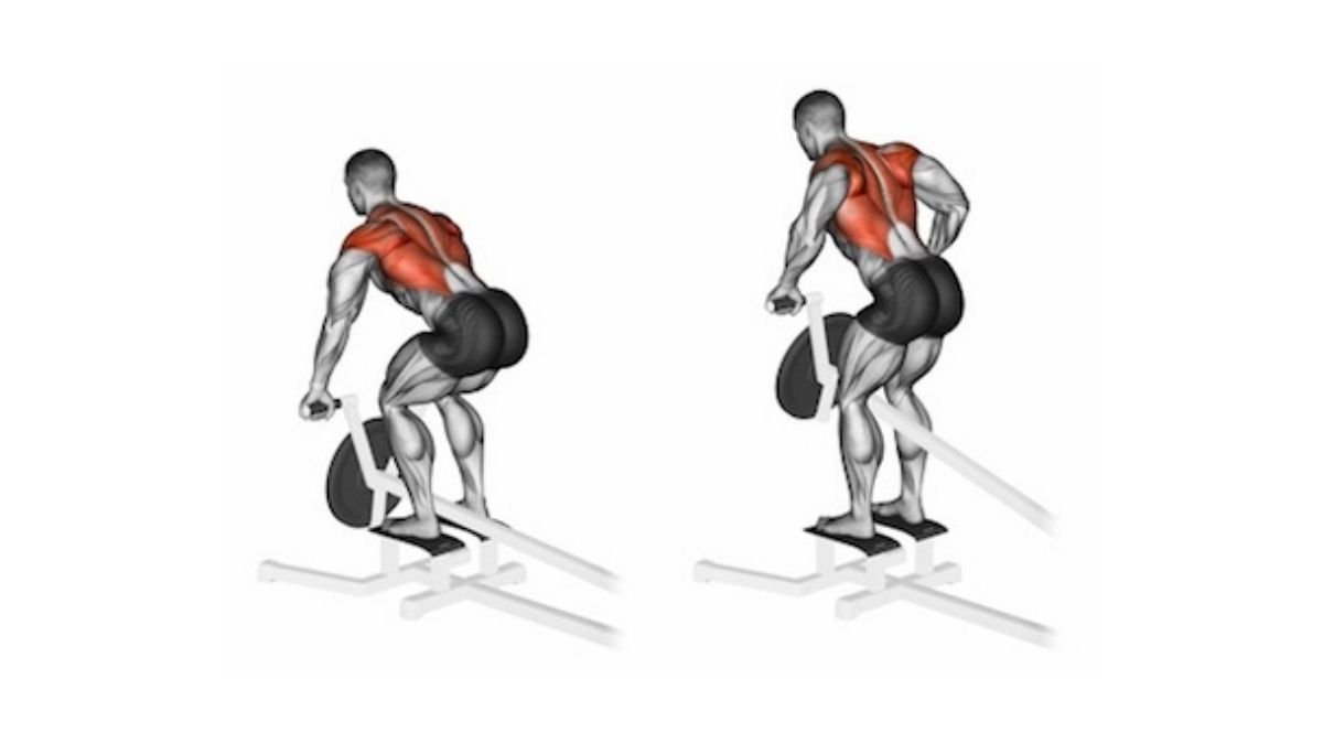 t bar row back pull