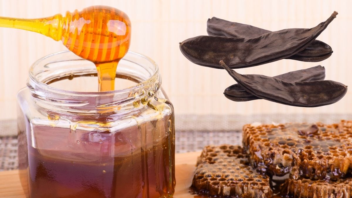 karobový med