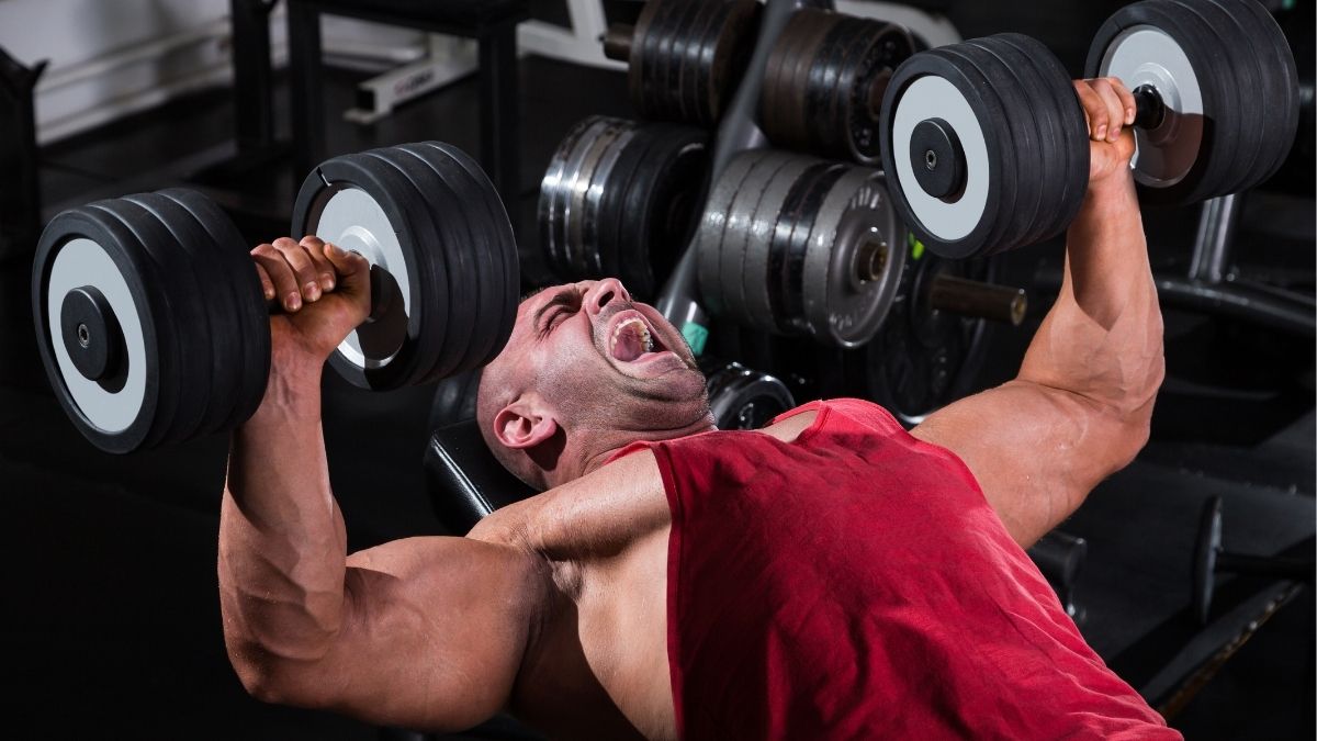 Dumbbell Bench Press Movement