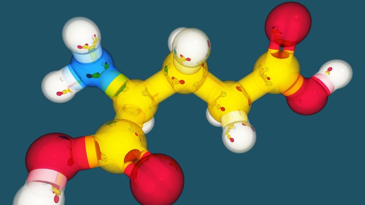 Ricerca sull'importanza degli amminoacidi