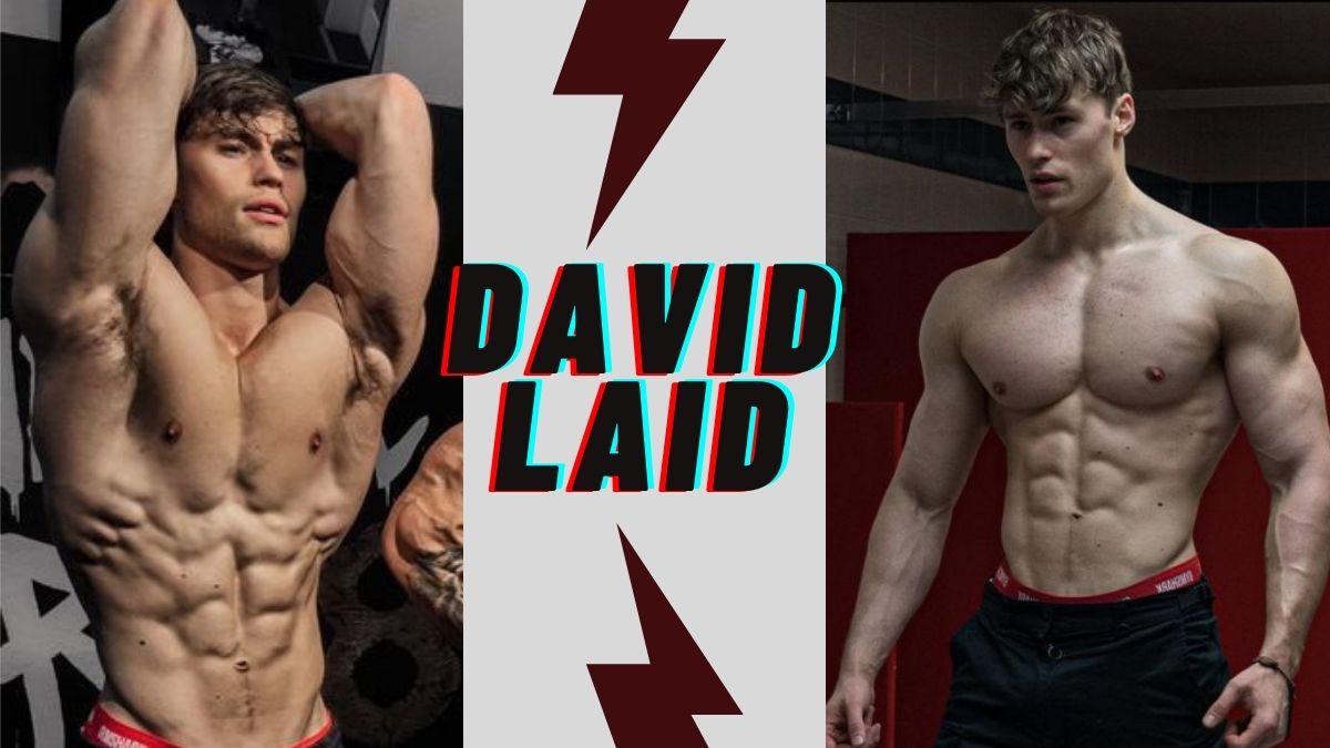 who is david laid