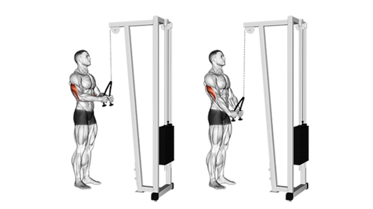 Come eseguire il pushdown con la corda