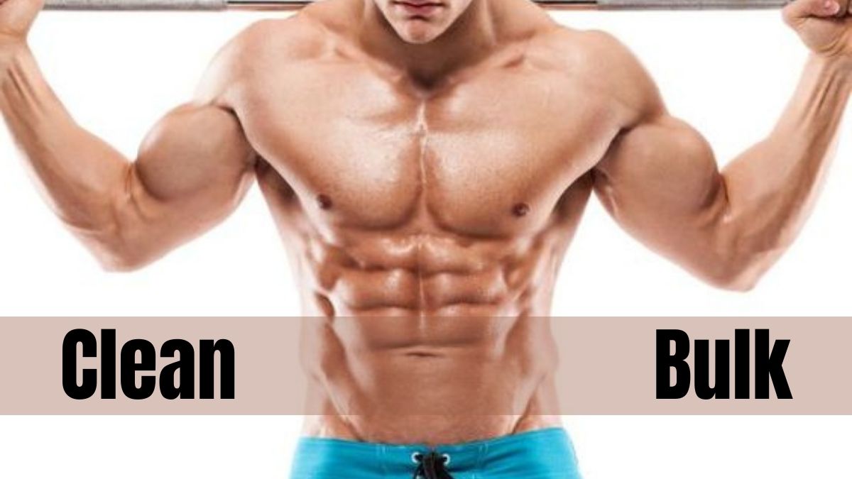 dirty bulk vs clean bulk