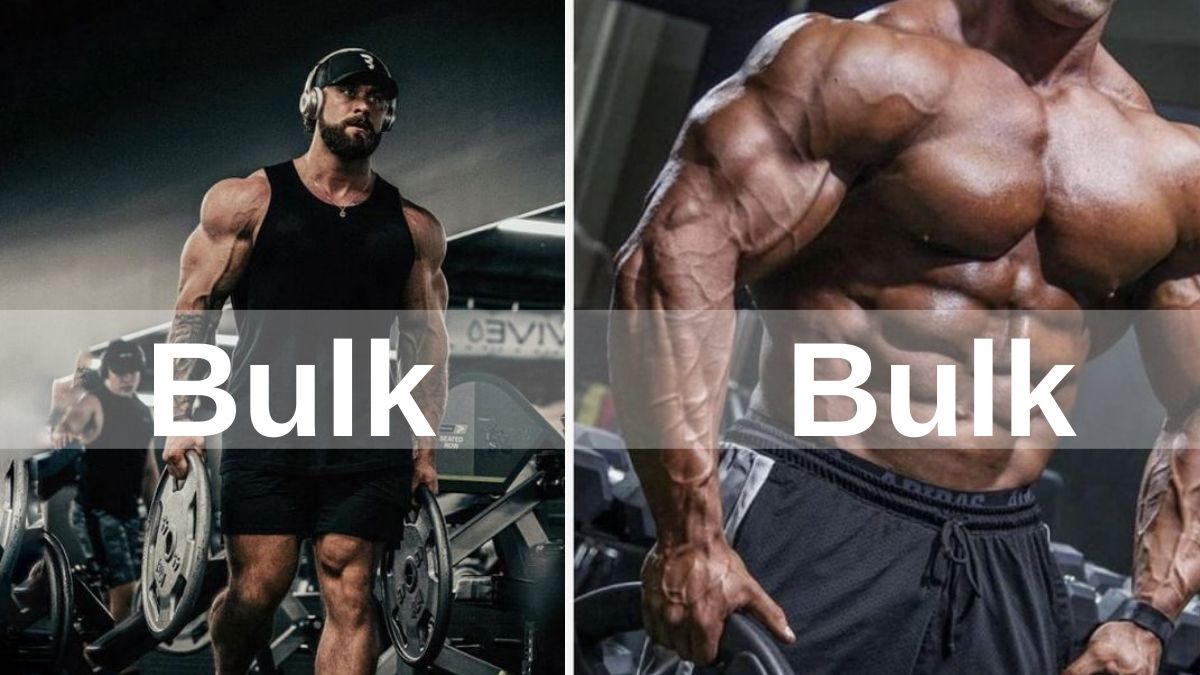 What is bulk?