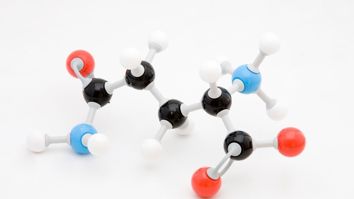 glutamin nedir ne işe yarar