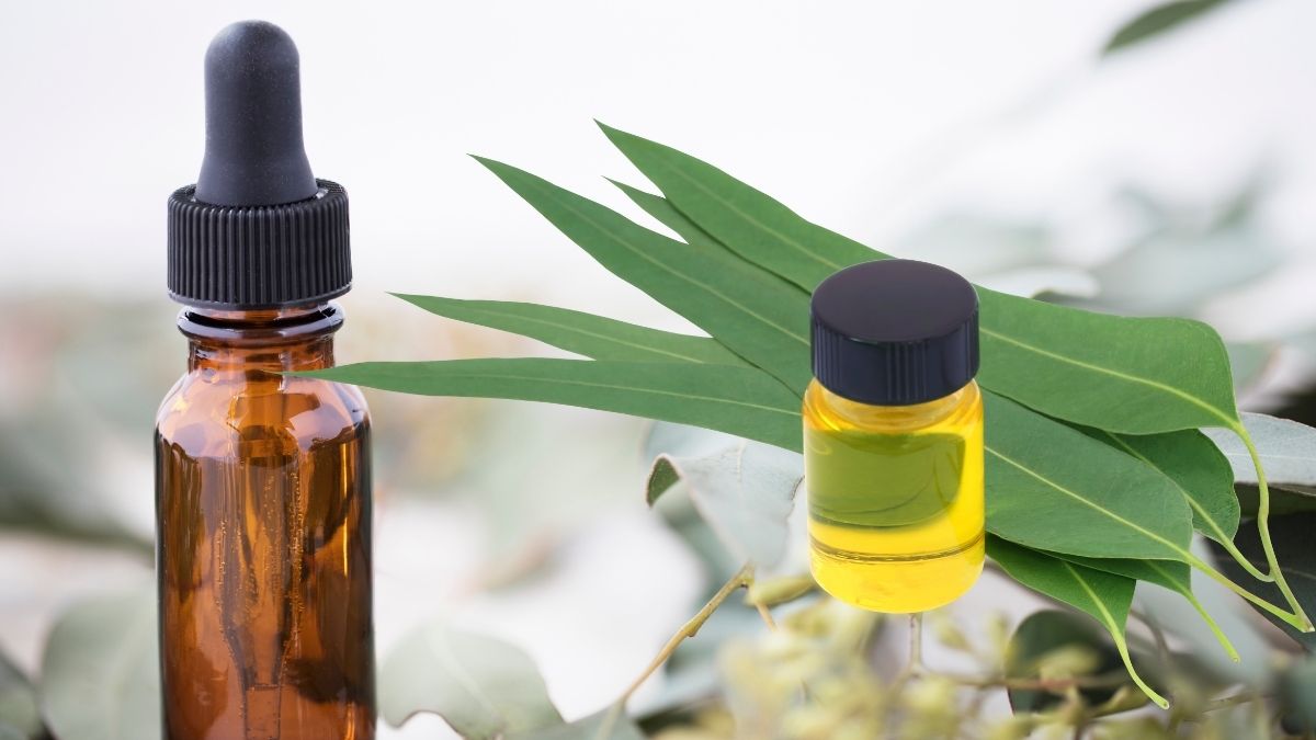 beneficios del aceite de eucalipto