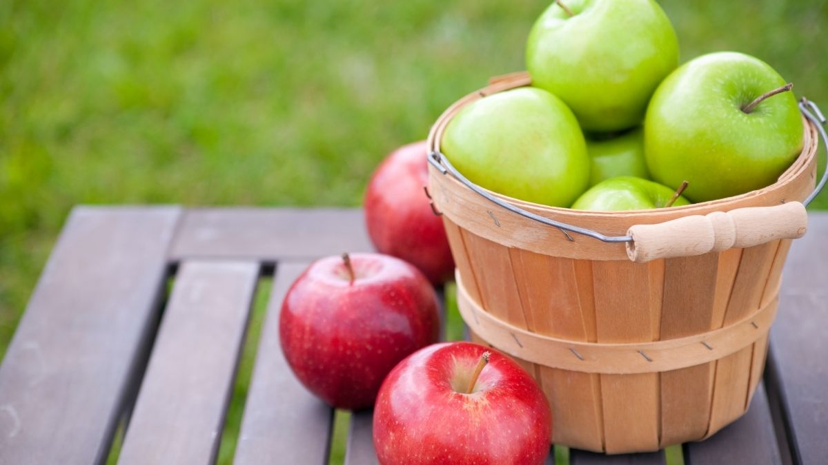 Hány kalória van egy almában? Alma tápérték