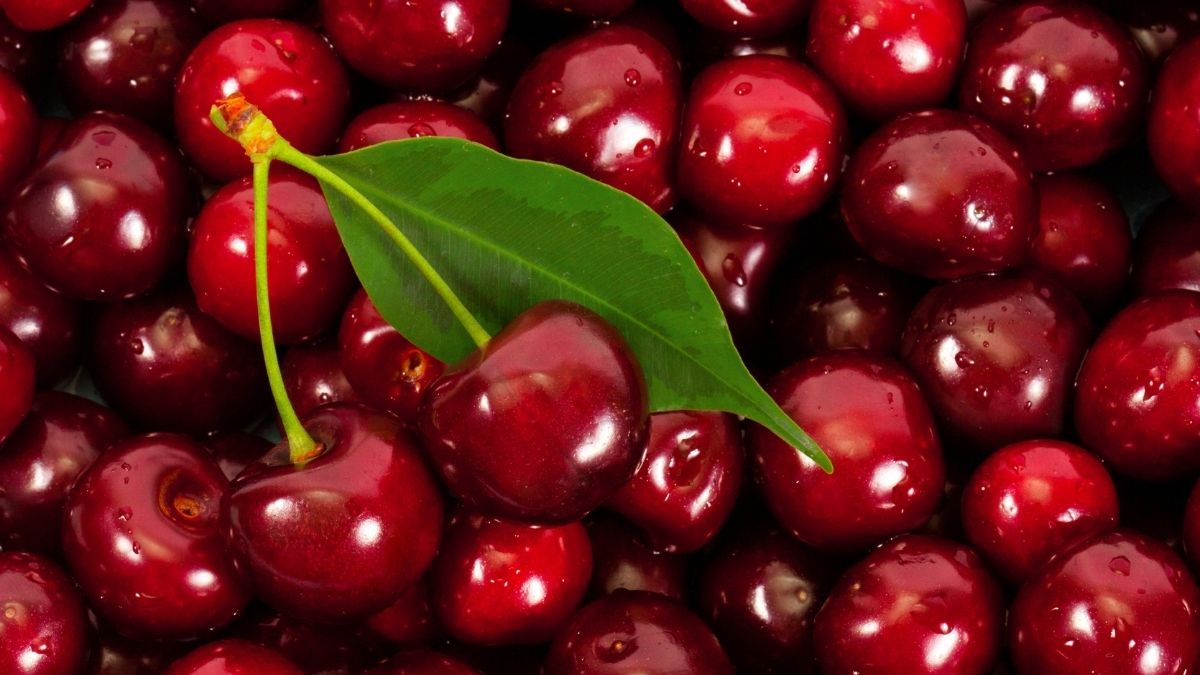 How Many Calories Are in Cherries? Cherries Nutritional Value