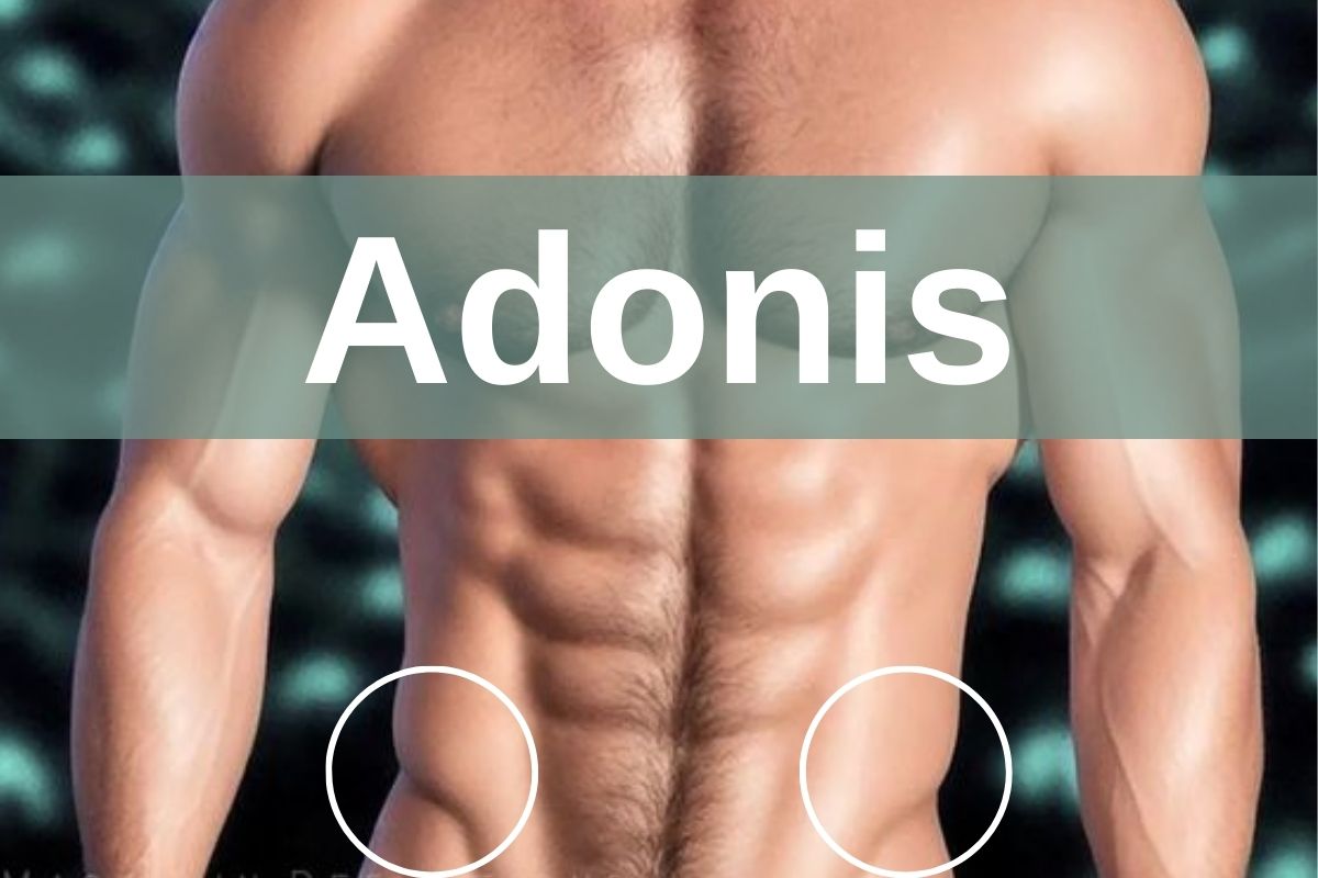 musculo adonis