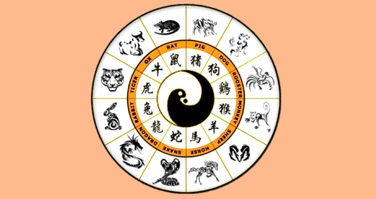 Kinesisk Zodiac Kalkulator